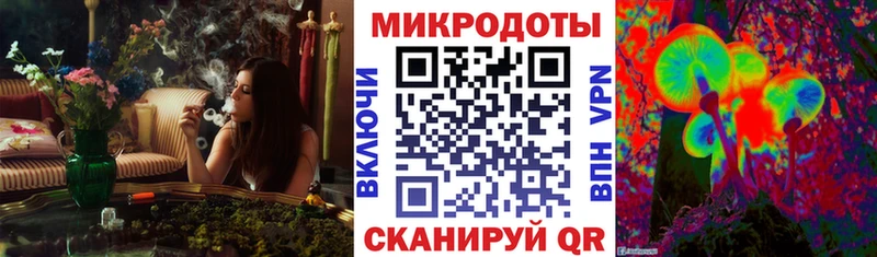гидра онион  Иннополис  Псилоцибиновые грибы GOLDEN TEACHER 